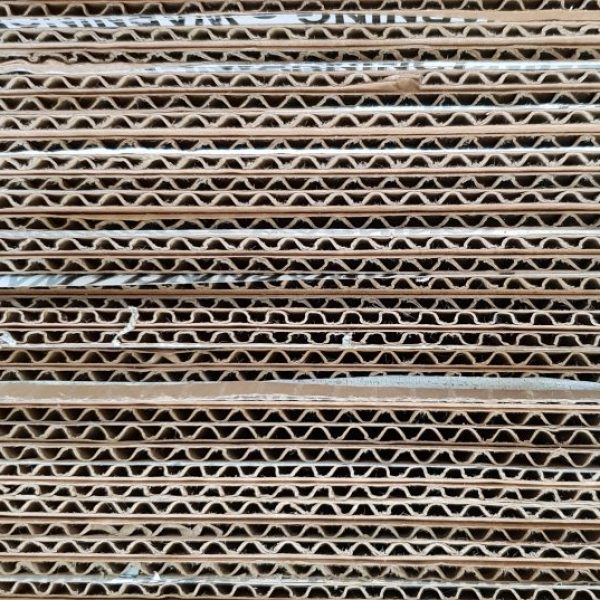 Photo by Tania Melnyczuk on Unsplash